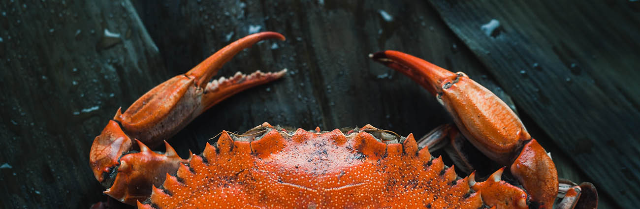 crabe zinc micronutrition aliment